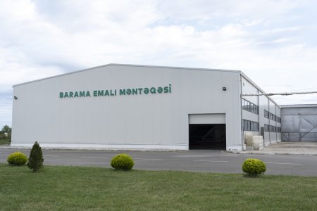 Nazir Məcnun Məmmədov Bərdə və Ağcabədidə təsərrüfatlara baş çəkib, fermerlərlə görüşüb