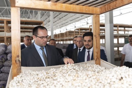 Nazir Məcnun Məmmədov Bərdə və Ağcabədidə təsərrüfatlara baş çəkib, fermerlərlə görüşüb