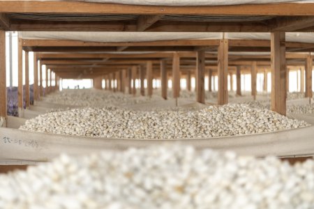 Nazir Məcnun Məmmədov Bərdə və Ağcabədidə təsərrüfatlara baş çəkib, fermerlərlə görüşüb