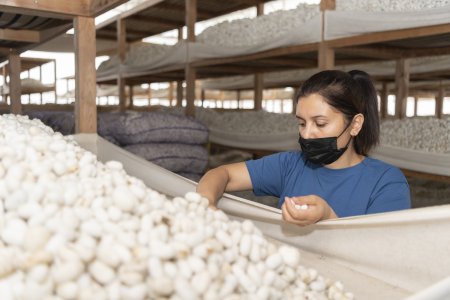 Nazir Məcnun Məmmədov Bərdə və Ağcabədidə təsərrüfatlara baş çəkib, fermerlərlə görüşüb
