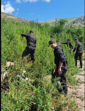 Daxili İşlər Nazirliyinin Mətbuat Xidmətinin Bərdə regional qrupundan verilən məlumat