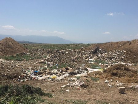 Qazaxda ətraf mühitin mühitin mühafizəsi tələbləri pozulduğuna görə vəzifəli şəxs inzibati məsuliyyətə cəlb edilib