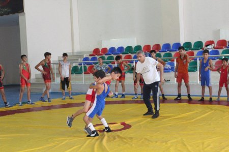  “İdman hamı üçün” layihəsi çərçivəsində sərbəst güləş idman növü üzrə nümunəvi çıxışlar  təşkil edilib