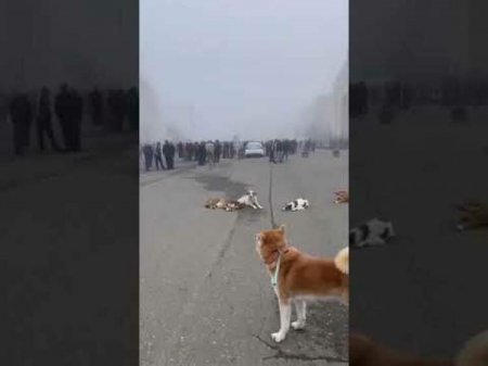 Yeni "baş separatçı" bəlli oldu, Xankəndidə qarşıdurma başladı: Babayanın adamları küçələrə axışdı