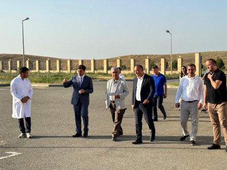 ADA Universitetinin nümayəndə heyəti ADAU, Heyvandarlıq Elmi-Tədqiqat İnstitutu və Respublika Süni Mayalanma Mərkəzinin fəaliyyəti ilə tanış olub  