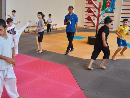"Taekvondo hamı üçün" devizi altında master klass keçirilib