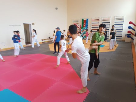 "Taekvondo hamı üçün" devizi altında master klass keçirilib