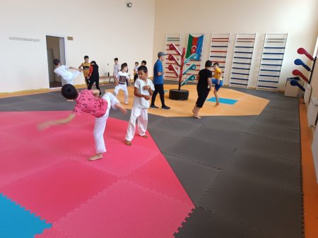 "Taekvondo hamı üçün" devizi altında master klass keçirilib