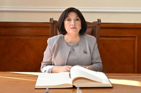 Sahibə Qafarova: “Ermənistanın sürətlə silahlanması region üçün yeni təhlükələrə gətirib çıxarır”