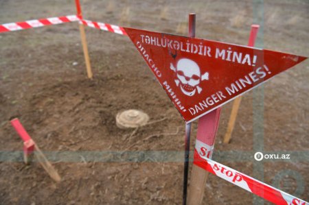 Azad edilmiş ərazilərdə daha 29 mina aşkarlanıb