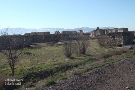 Cəbrayılın Soltanlı kəndində tikinti işlərinə macar şirkətləri cəlb olunacaq