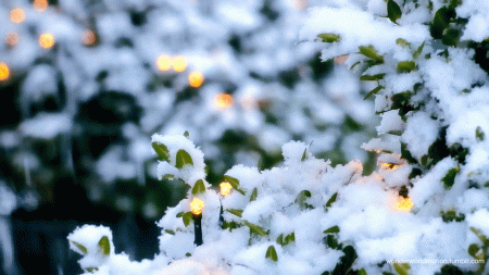 Nazirlikdən hava şəraiti ilə bağlı SON AÇIQLAMA