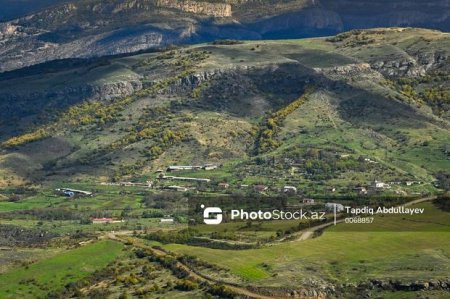 Direktor: “Hazırda Laçında pediatr və terapevtlərə ehtiyac var”