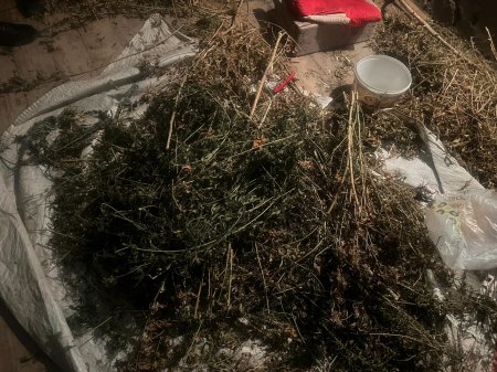 Sabirabad sakininin evindən 4 kiloqramdan artıq narkotik aşkarlanıb 