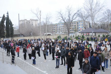 Fənn olimpiadalarının yarımfinal turu keçirilib