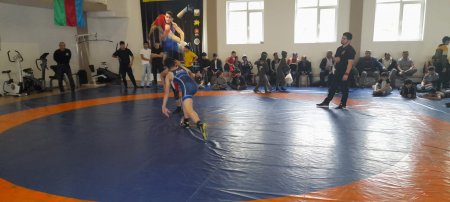 “Məktəblilərin respublika çempionatı “ yarışlarının sərbəst güləş idman növü üzrə zona  mərhələsinin növbəti turu keçirilib