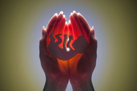 Abortların sayı artıb 