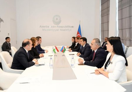 Mədəniyyət naziri tacikistanlı həmkarı ilə görüşüb 
