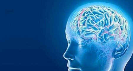 Beyninizin gec qocalmasını istəyirsinizsə, bunlardan çox yeyin
