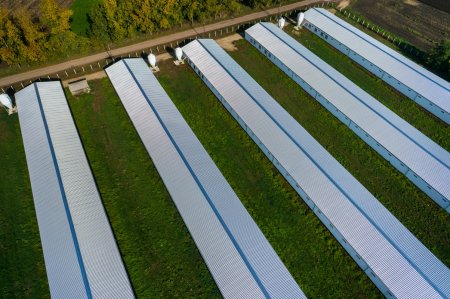 Azərbaycan nümayəndə heyəti Macarıstanın aqrar sahədə fəaliyyət göstərən təhsil müəssisələri və şirkətlərin fəaliyyəti ilə tanış olub