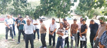 Novruz Aslan Xəlilli kəndində seçicilərlə görüşdü
