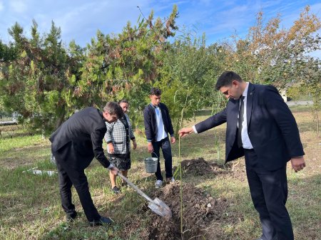 Mərkəzi Aran Regional Təhsil İdarəsinin təşəbbüsü ilə regionda ağacəkmə aksiyası keçirilib