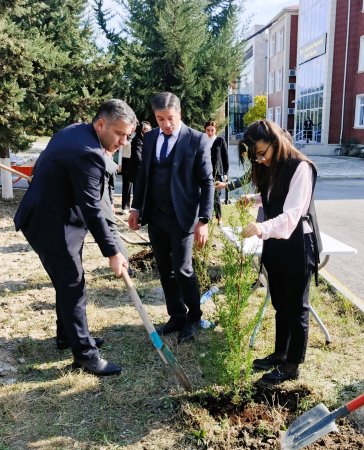 Təhsil İdarəsi ağacəkmə aksiyası keçirib