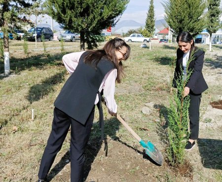 Təhsil İdarəsi ağacəkmə aksiyası keçirib