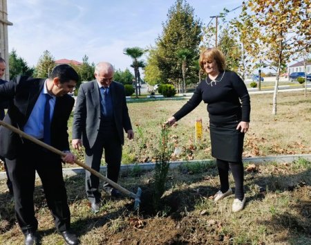Təhsil İdarəsi ağacəkmə aksiyası keçirib