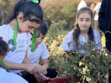 Şagirdlər COP29 tədbiri haqqında məlumatlandırılıb
