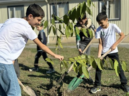 Şagirdlər COP29 tədbiri haqqında məlumatlandırılıb
