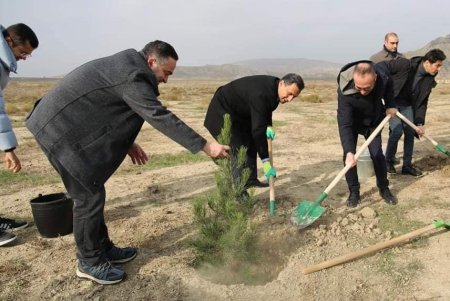 Qobustan Milli Tarix-Bədii Qoruğu ərazisində ağacəkmə aksiyası həyata keçirilib