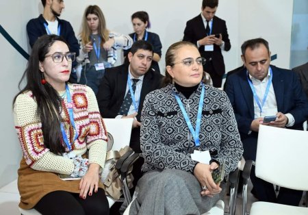 “Yaradıcı sənayelərin iqlim dəyişmələrinə təsiri” mövzusunda panel sessiyası təşkil olunub