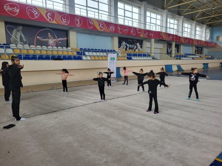 "İdman hamı üçün" layihəsi çərçivəsində "Gimnastika hamı üçün" devizi altında nümunəvi çıxışlar keçirildi