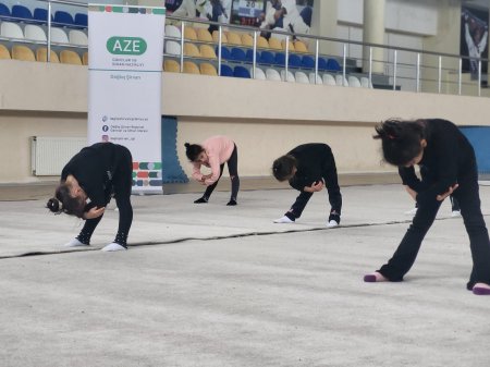 "İdman hamı üçün" layihəsi çərçivəsində "Gimnastika hamı üçün" devizi altında nümunəvi çıxışlar keçirildi