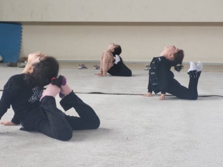 "İdman hamı üçün" layihəsi çərçivəsində "Gimnastika hamı üçün" devizi altında nümunəvi çıxışlar keçirildi