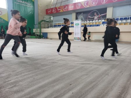 "İdman hamı üçün" layihəsi çərçivəsində "Gimnastika hamı üçün" devizi altında nümunəvi çıxışlar keçirildi
