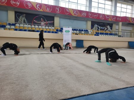 "İdman hamı üçün" layihəsi çərçivəsində "Gimnastika hamı üçün" devizi altında nümunəvi çıxışlar keçirildi