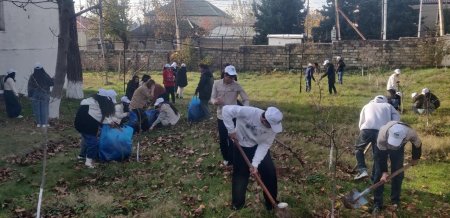 "Yaşıl dünya naminə həmrəylik ili" çərçivəsində təmizlik - abadlıq aksiyası keçirildi