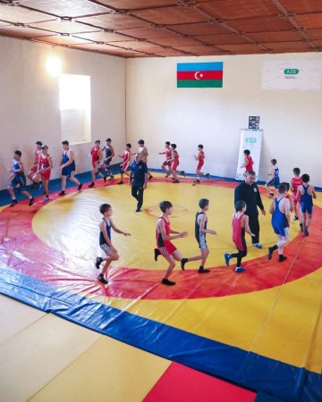 Güləş məşqçilərinin Ümumrespublika seminarı davam edir