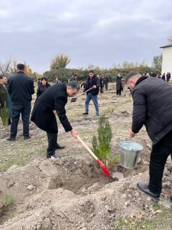 Ağdaşda ağacəkmə aksiyası keçirilib