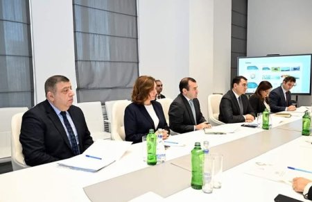 Mədəniyyət naziri Adil Kərimli TİKA-nın başqanı ilə görüşüb 