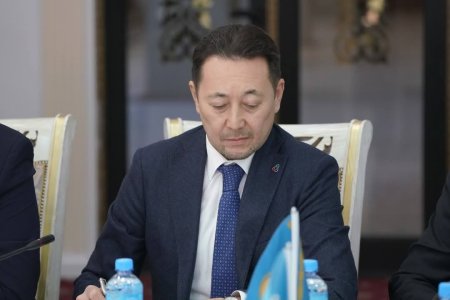 Adil Kərimli Astanada "Daşa yazılmış tarix" kitabının təqdimatında çıxış edib Adil Kərimli Astanada "Daşa yazılmış tarix" kitabının təqdimatında çıxış edib