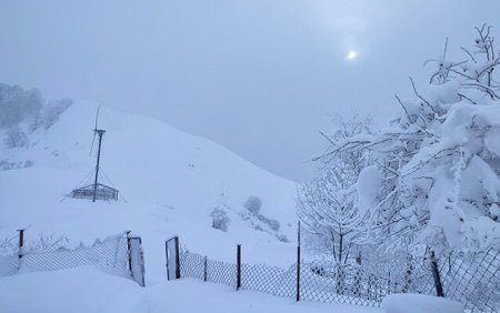Temperatur normadan 7.5 dərəcə aşağıdır