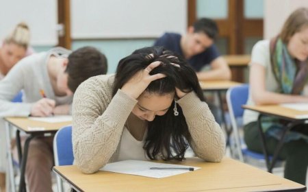 Abituriyentlərin nəzərinə: Bu ixtisaslar üzrə keçid balı artacaq