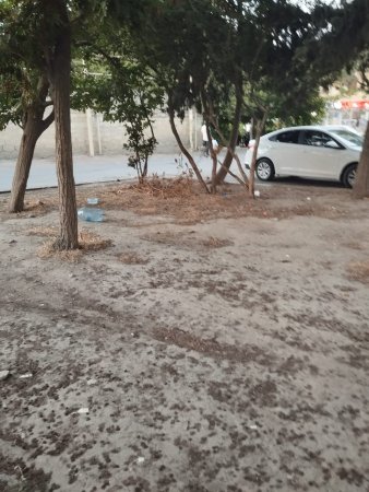 Suraxanıda baxımsız məhəllə: Sakinlər illərdir ümidlə gözləyir