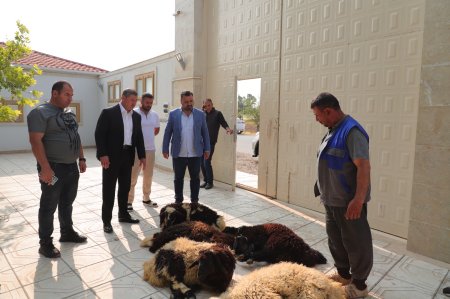 İş adamından möhtəşəm addım...