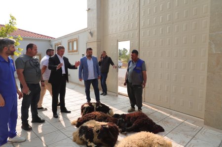 İş adamından möhtəşəm addım...