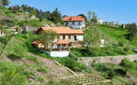 Diplomatlar Laçında səfərdədir