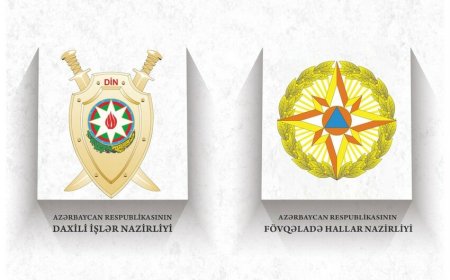 Laçında 3 nəfər məsuliyyətə cəlb olundu